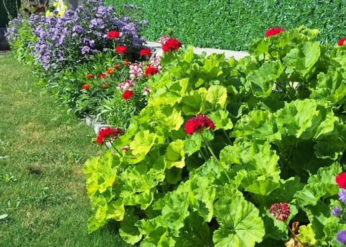 Havuzlu Tas Yapi Kiralik Villa Kadikoy (Fethiye)